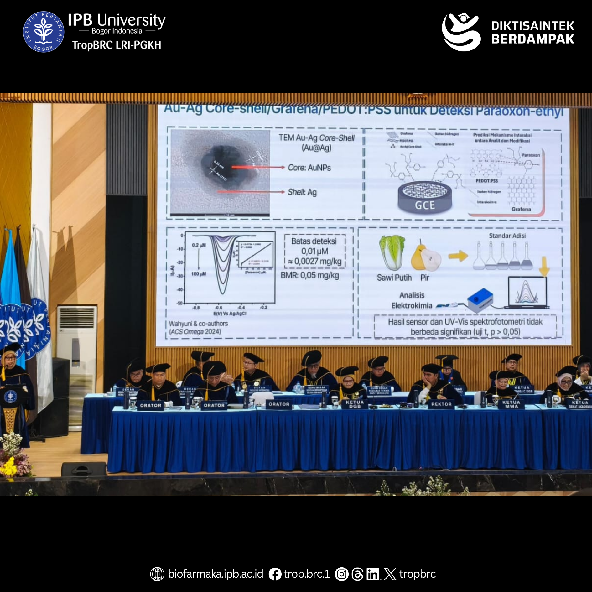 Technical presentation slide illustrating the mechanisms and electrochemical data of the newly developed food safety nanosensors.