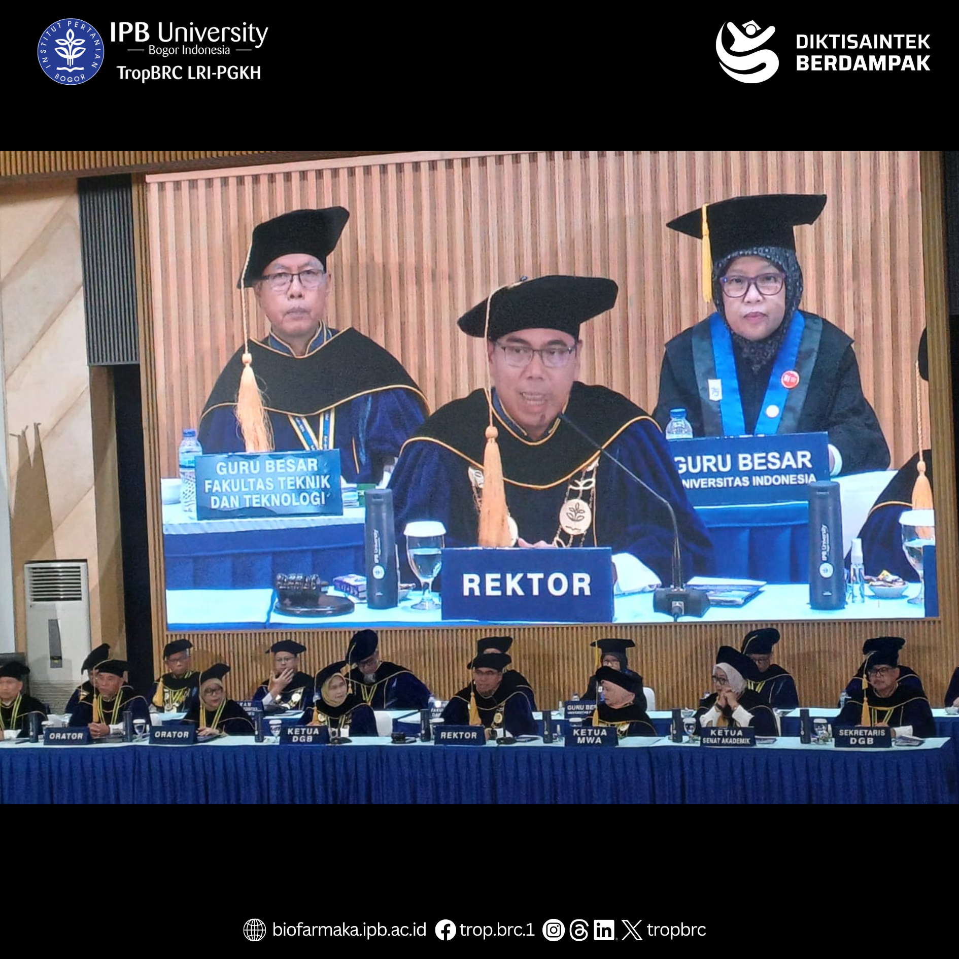Prof. Dr. Wulan Tri Wahyuni in academic regalia with IPB University officials at the inauguration ceremony celebrating her work on food safety nanosensors.