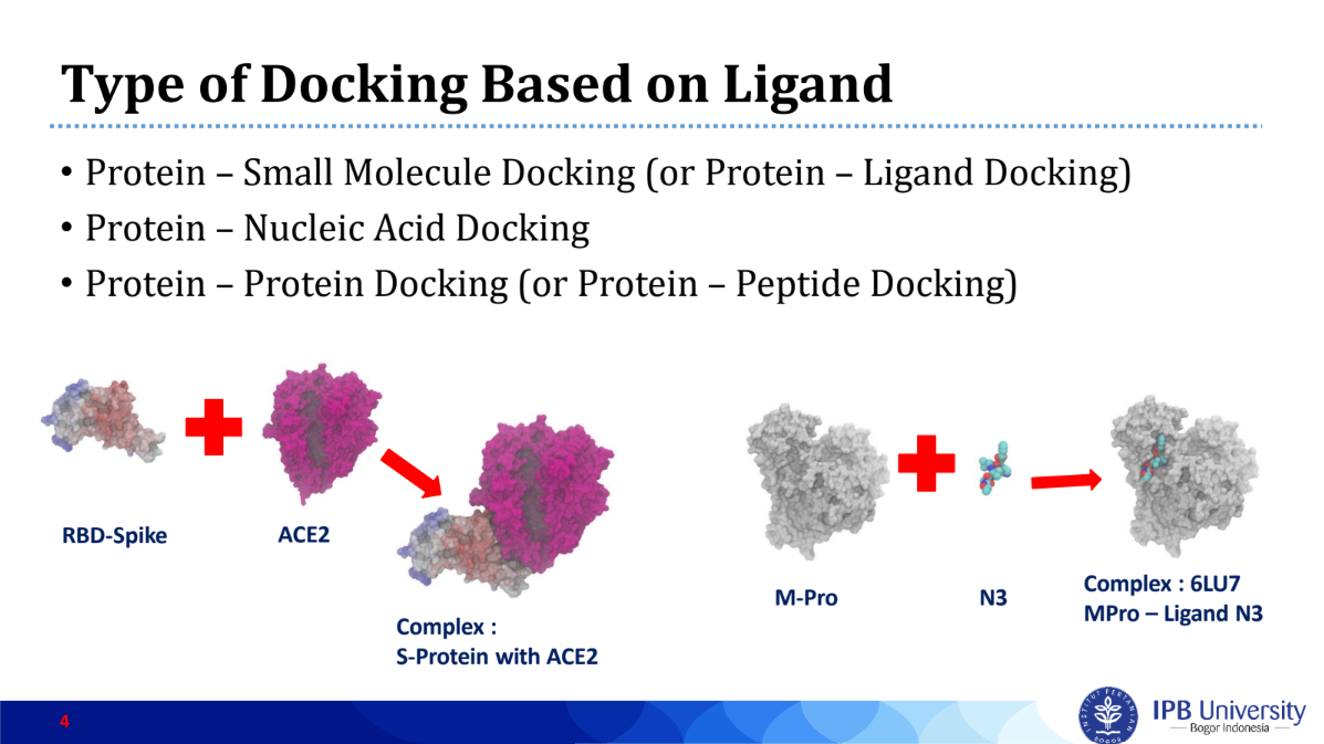Workshop of Basic Molecular Docking Batch 2 - TropBRC