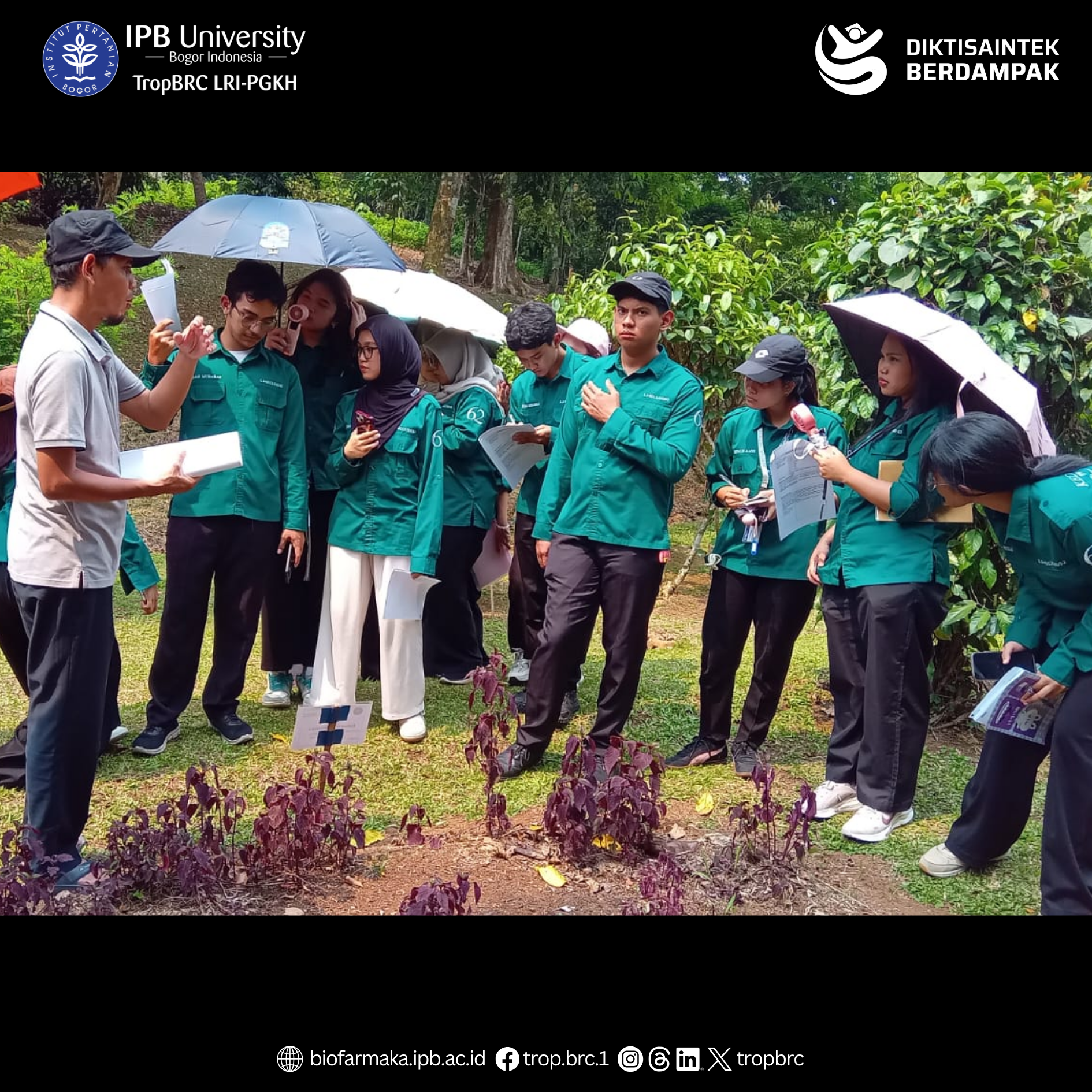 IPB University medical students listen to an instructor explaining various tropical medicinal plants at the UKBB garden.
