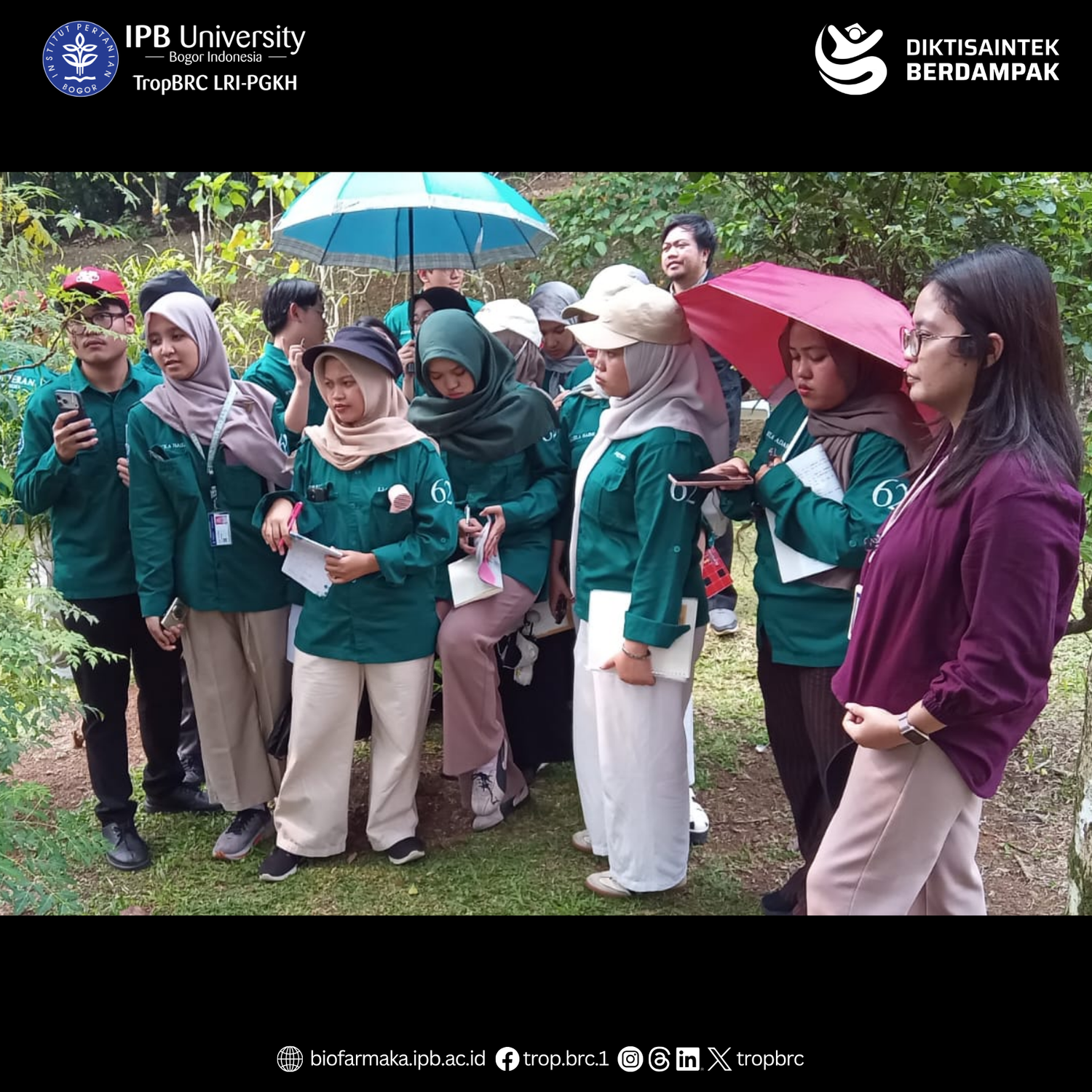 Exploring Tropical Medicinal Plants at TropBRC