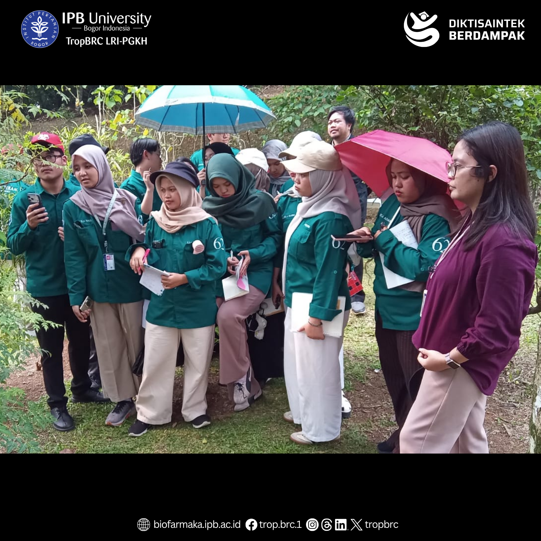 Medical students in green jackets observe tropical medicinal plants during a practical outdoor learning session.